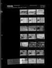 Baseball Game (21 negatives), July 26-28, 1966 [Sleeve 45, Folder c, Box 40]